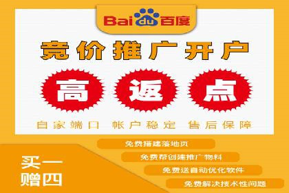 竞价广告的投放策略：XX企业成功案例解析